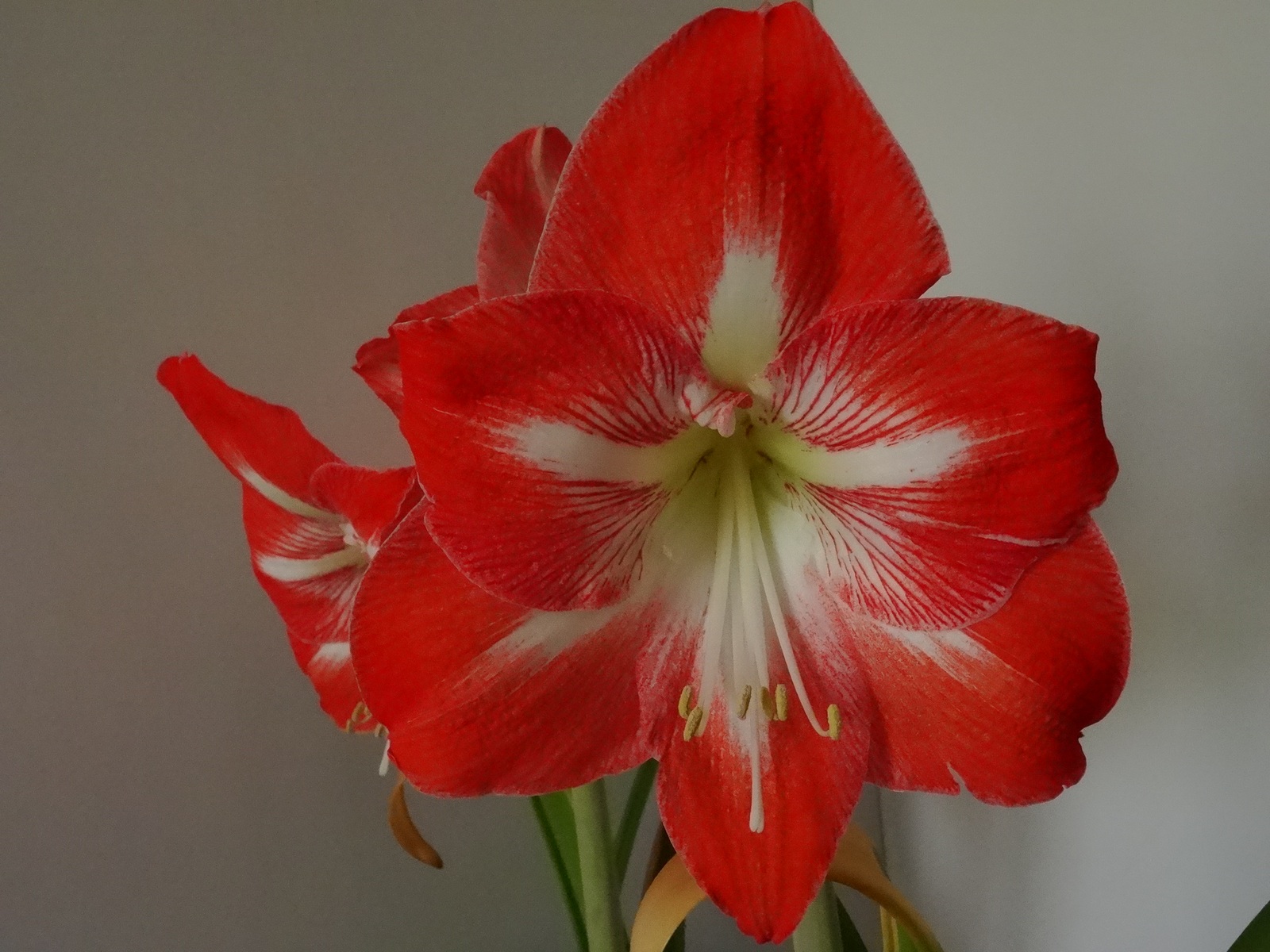 [Image: KvlfCLN.jpg]