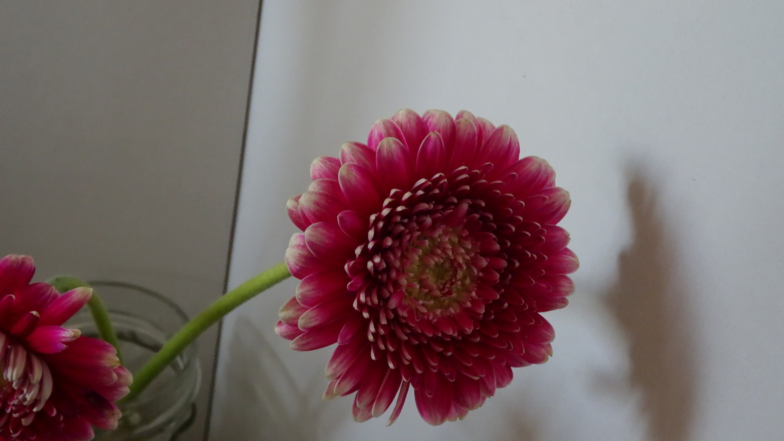 [Image: KvlfG2e.jpg]