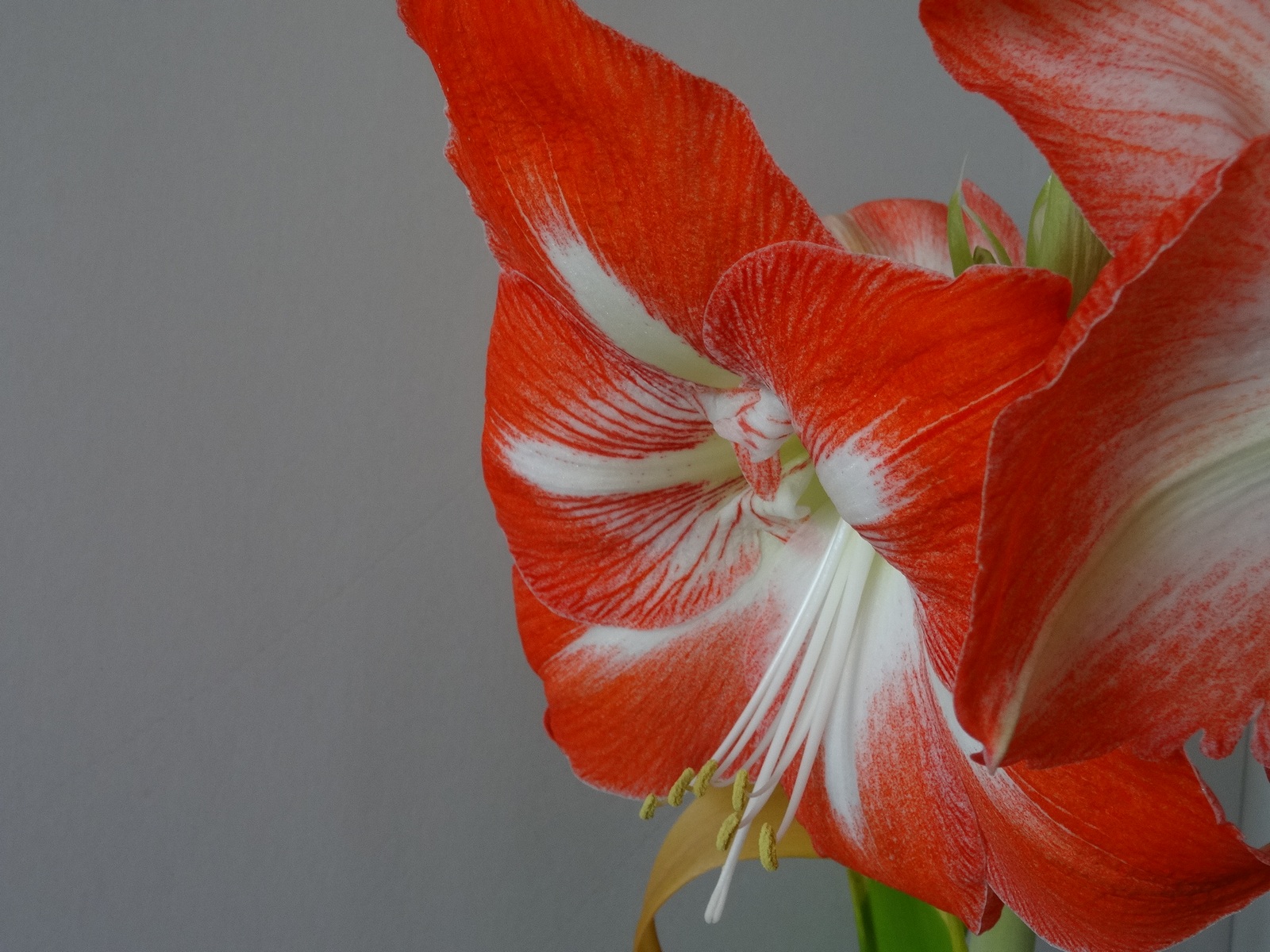 [Image: KvlfKmv.jpg]