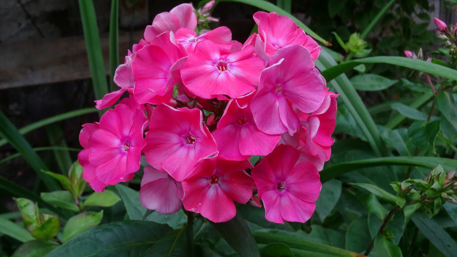 [Image: KvlfQ4t.jpg]