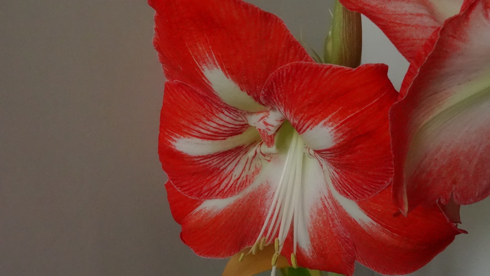 [Image: KvlfT2n.jpg]