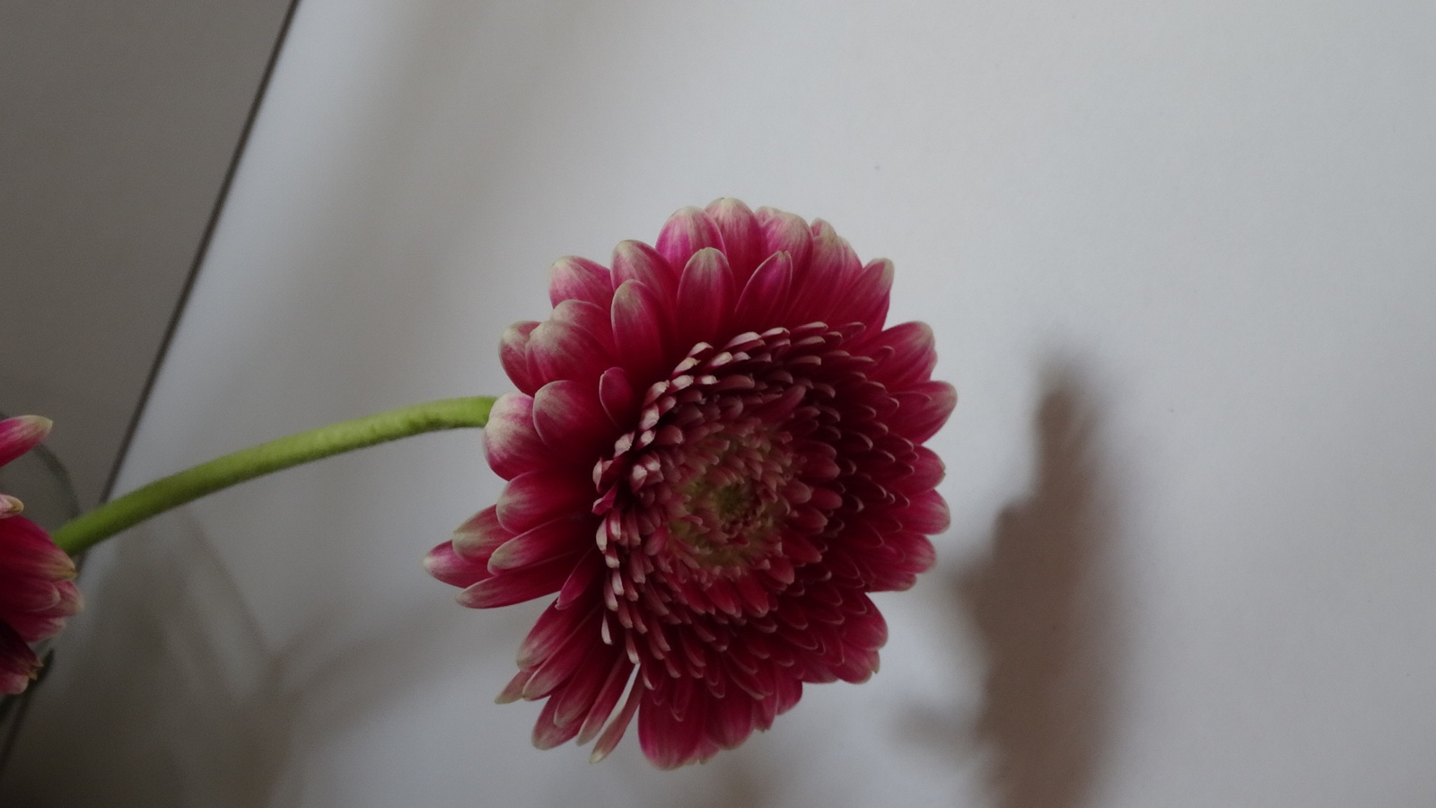 [Image: KvlfaQ2.jpg]