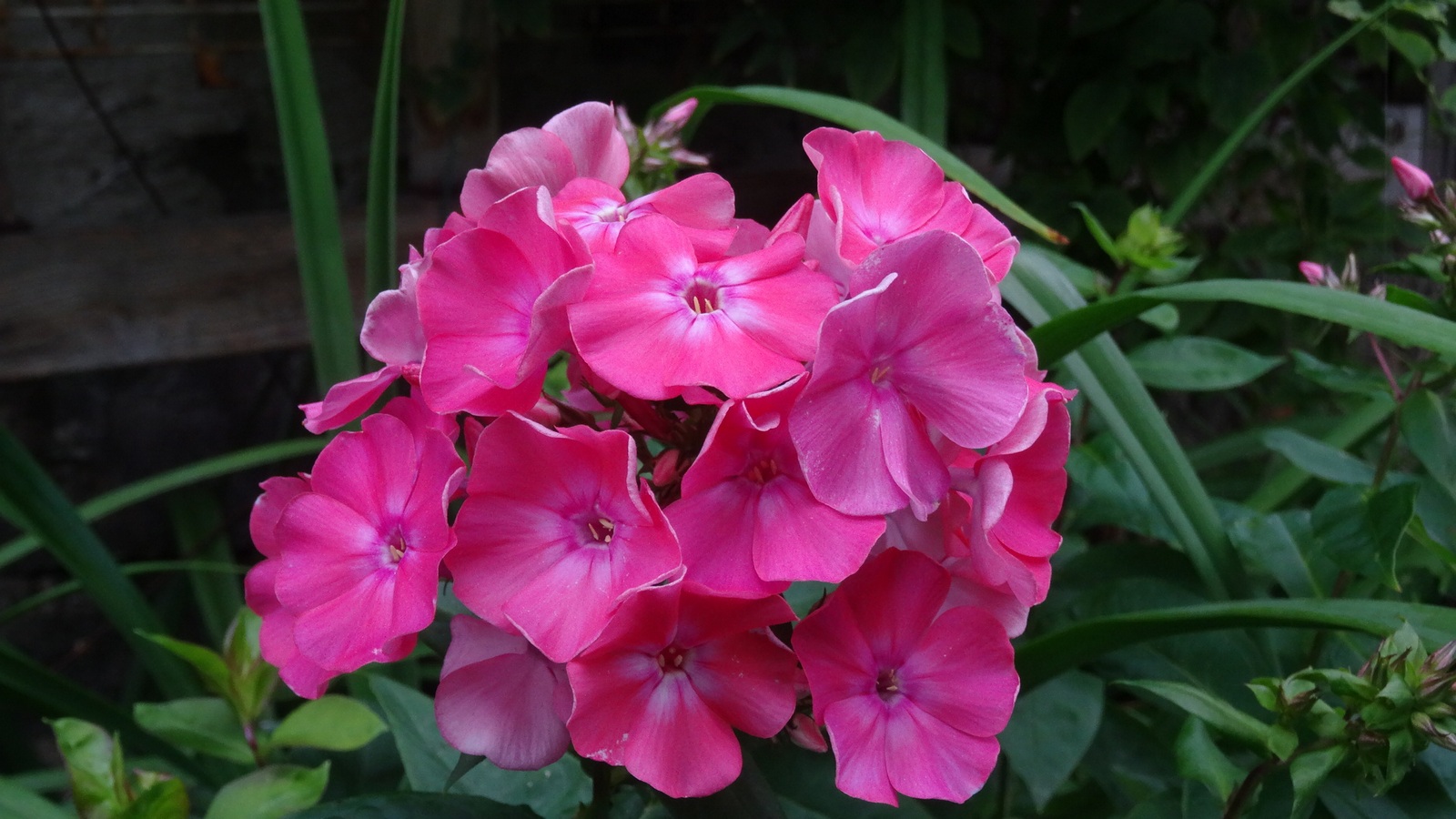 [Image: Kvlft3X.jpg]