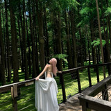 531364097 18498088102069135 6189397979634445720 n