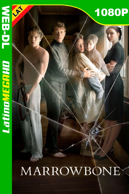 Secretos ocultos (2017) Latino 1080P WEB-DL