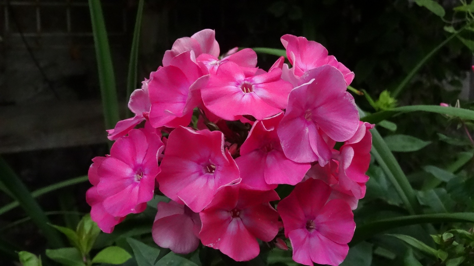 [Image: Kvlq9j4.jpg]