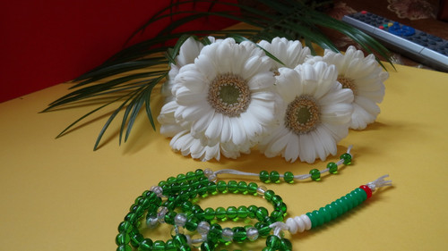 Flower image V171020251624 N168