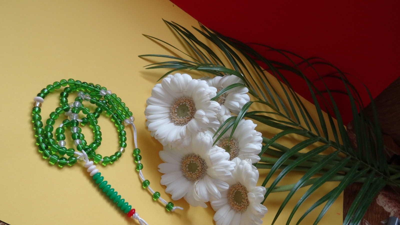 [Image: KvlqLDx.jpg]