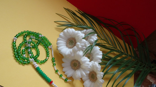 Flower image V171020251624 N166