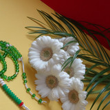 Flower image V171020251624 N166