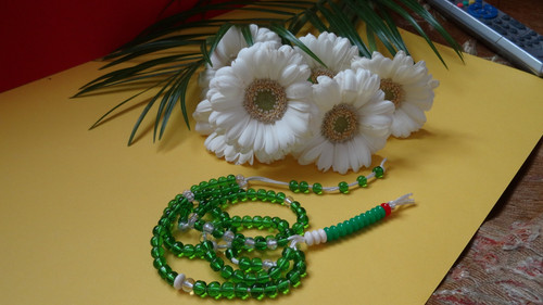 Flower image V171020251624 N169