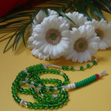 Flower image V171020251624 N169