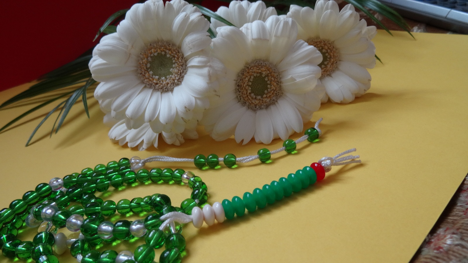 [Image: KvlqtVV.jpg]