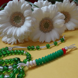 Flower image V171020251624 N167