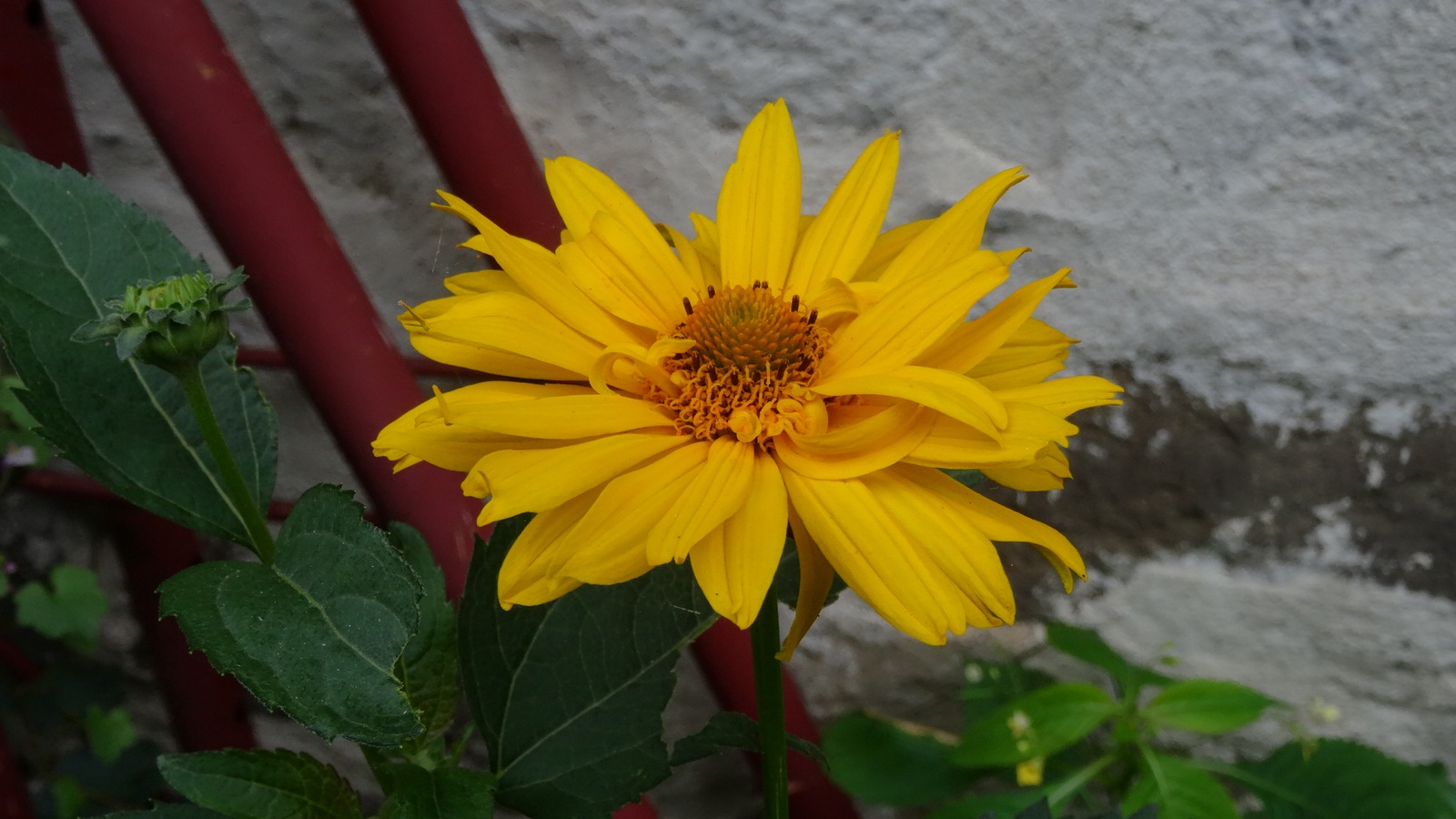 [Image: Kvlqvol.jpg]