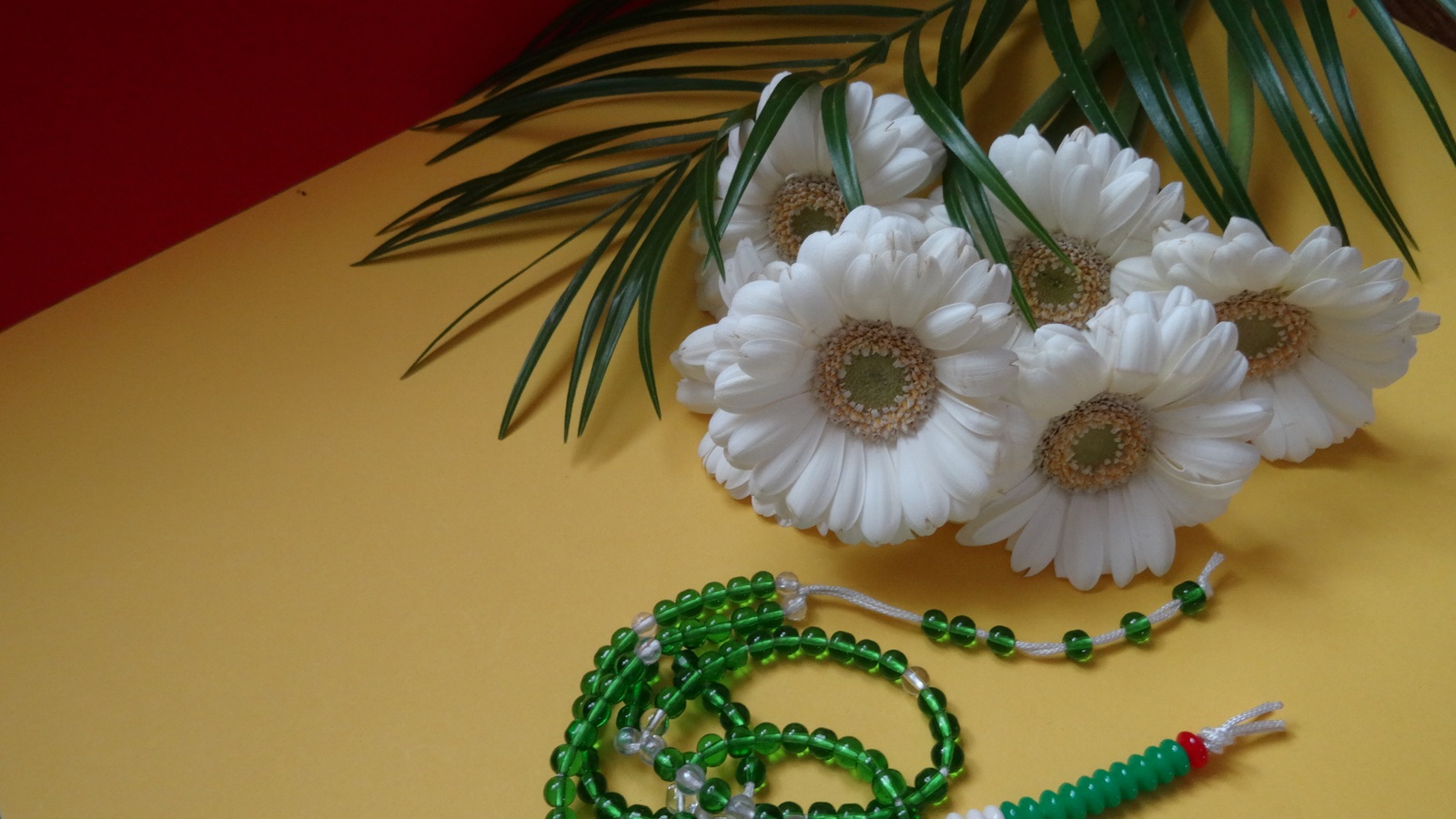 [Image: KvlqyUF.jpg]