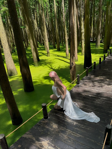 532021796 18498087916069135 1323845657452389759 n.jpg