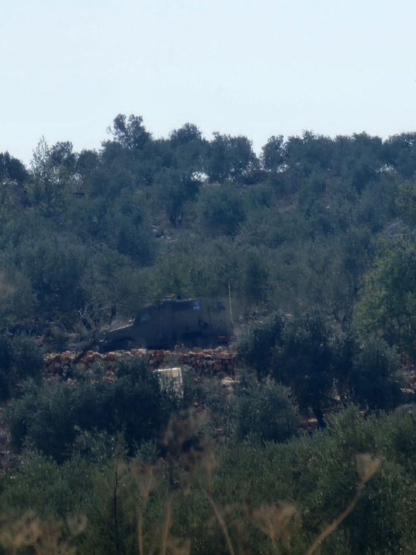 🟨 صور| جانب من تواجد قطعان المستوطنين بحماية جيش الاحتلال في منطقة الراس شرق بلدة روجيب شرق نابلس...