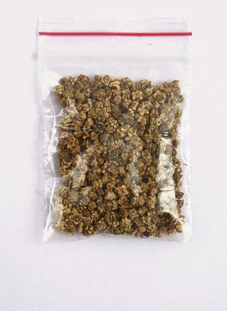 500 high quality spinach palak v.jpg