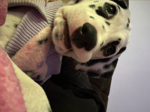 Design sem nome (50).png