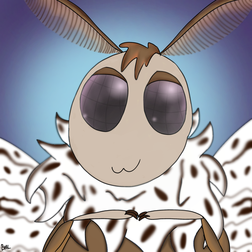 Untitled611 20251017175237