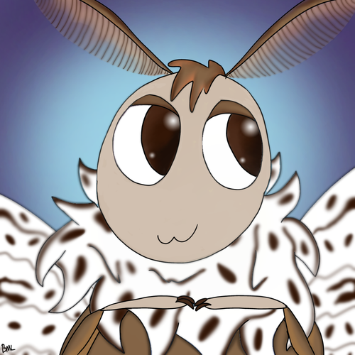 Untitled611 20251017191335