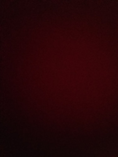 IMG 20251017 161853.jpg