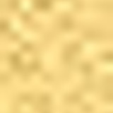 pearlrodeogoldstrip