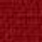 pearlrodeodarkstrip