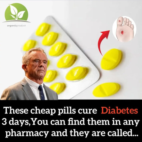 photo 2025 10 08 18 04 32 — копия.jpg