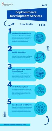 5 Reasons to Choose nopCommerce for Your Store.jpg