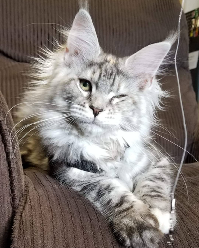 ไม่มีชื่อ 90 20251010153144.png