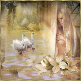 56284ce0858ffa4cdf01f37a61ea3a98 web.gif