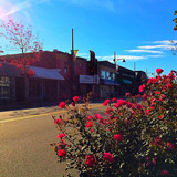 124429715 220620726407737 4259597380918189911 n