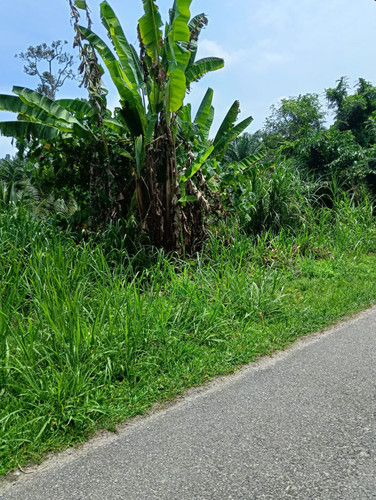 WhatsApp Image 2025 10 09 at 10.28.01 AM