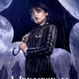 9PFonBhy4cQy7Jz20NpMygczOkv