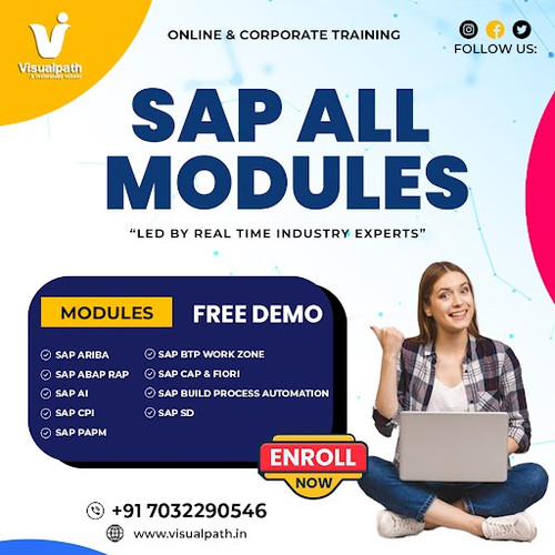Boost Your Career SAP All Modules Online Training at Visualpath.jpg