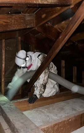 Attic Insulation Removal.png