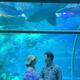 z7098296474714 12e75f744555763c6bfbe127a18b0380