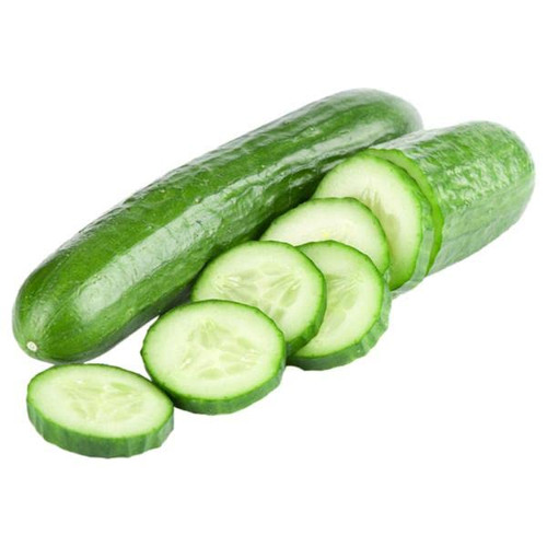 41CuEPIBdoL.jpg