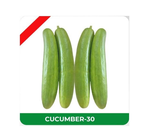 00b.jpg