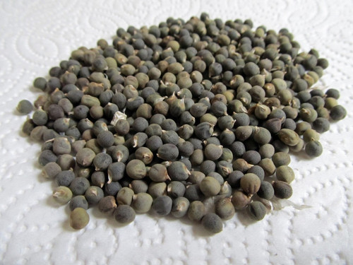 okra seeds.jpg
