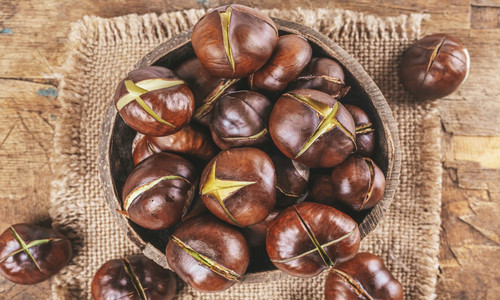 autumnfood04.jpg