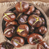 autumnfood04