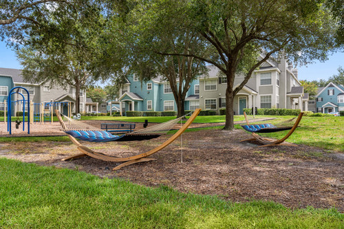 C206910 Bell Timacuan Hammocks 02 T3A6393.jpg