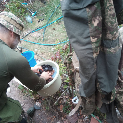 signal 2025 10 01 133340 003