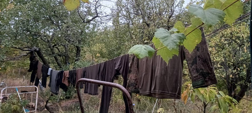 signal 2025 10 01 144709 002