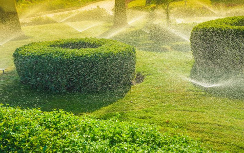 Jefferson Georgia Irrigation Services.jpg