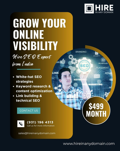 Hire SEO Expert from India.jpg