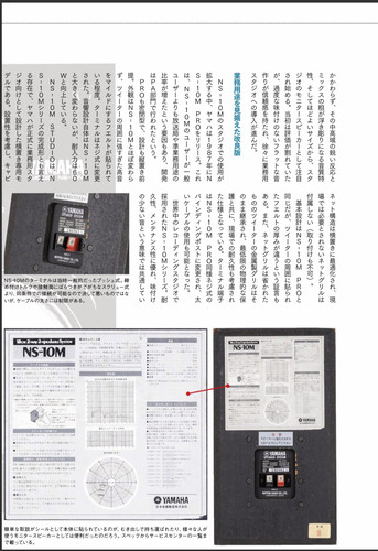 Screenshot 10 10 2025 194634 bettygiraffe.jpg